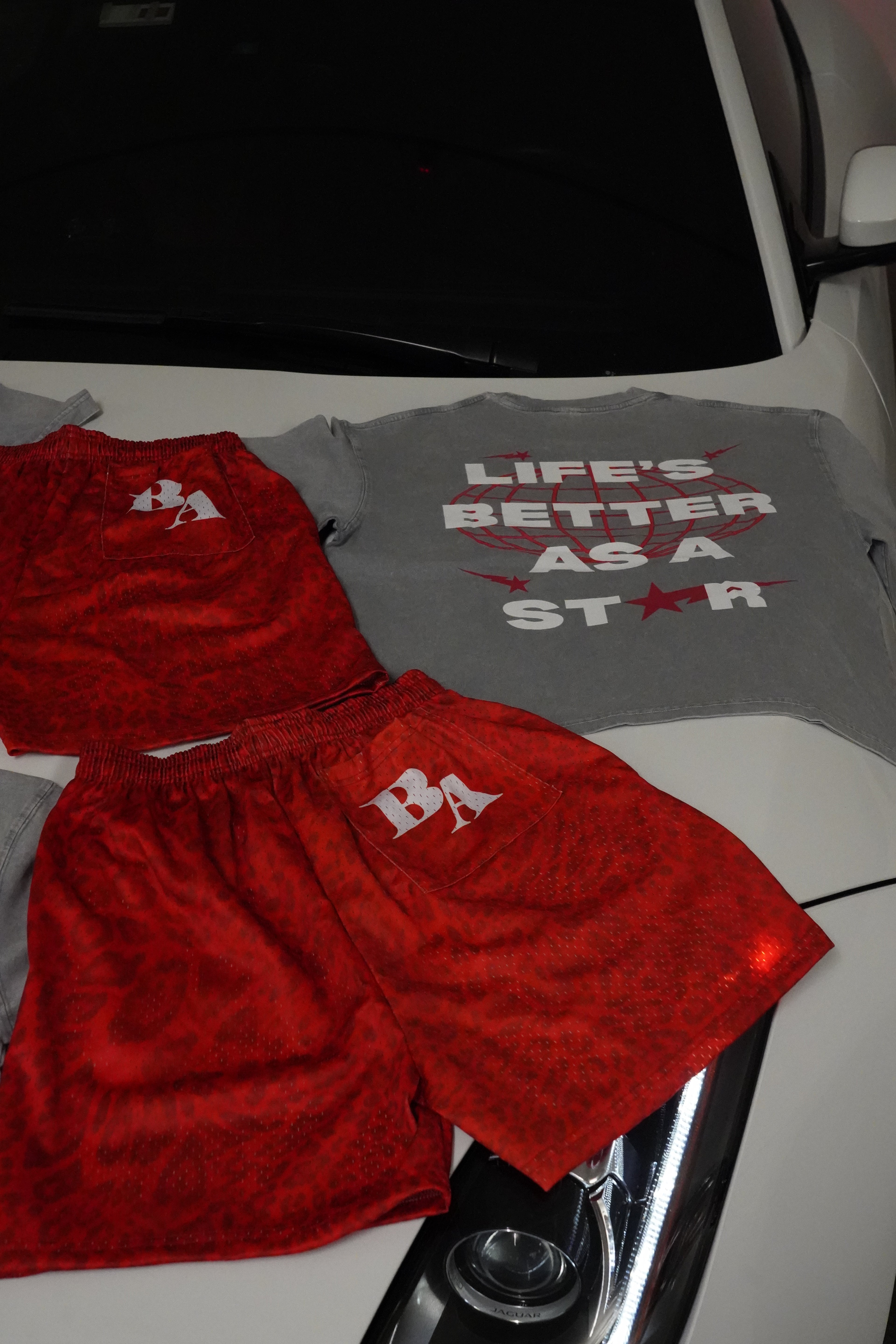 Red Leopard Print Mesh Shorts